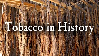 Growing Tobacco In Early America [upl. by Oiled]