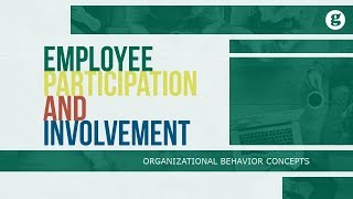 Employee Participation and Involvement [upl. by Livvyy]