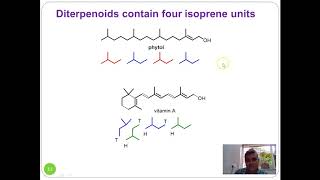 Lecture 1 Terpenes and Terpenoids [upl. by Areem]