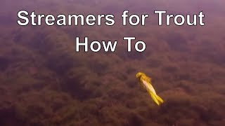 The Orvis Guide to Fly Fishing Streamers [upl. by Godderd]