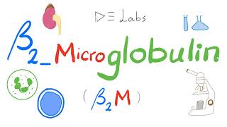 Beta2 Microglobulin Level Serum amp Urine  Labs š§Ŗ [upl. by Broucek]