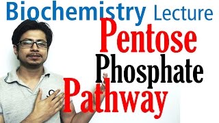 Pentose phosphate pathway [upl. by Adella617]