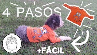 Camisa para perro FÁCIL Sólo 4 pasos [upl. by Drolet]