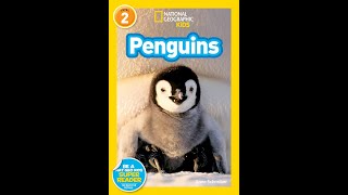 National Geographic Kids Penguins read aloud [upl. by Theall]