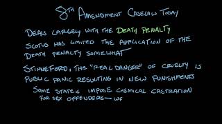 The Eighth Amendment  National Constitution Center  Khan Academy [upl. by Ut]