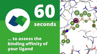 60 seconds to assess the binding affinity of your ligand [upl. by Wurtz]