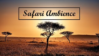 SAFARI AMBIENCE  Background music in the wilderness [upl. by Drofnats]