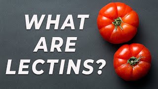 Lectins  What are they [upl. by Pinelli]