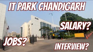 PGIMER Chandigarh Vacancies 2024 कब तक pgimer vacancies [upl. by Swerdna]