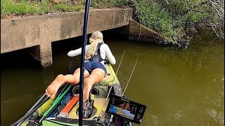 Dardanelle Tournament WHERE to FISHwhat NOT to do [upl. by Sitra]