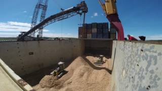 mv Hollandia loading woodchips in Sheet Harbour [upl. by Akienahs]