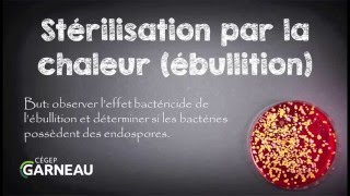 Stérilisation par la chaleur ébullition [upl. by Baalbeer941]