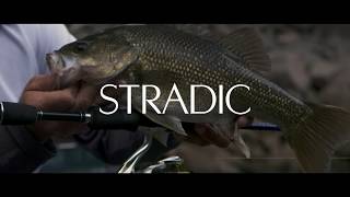 NEW Stradic FL [upl. by Jarv]