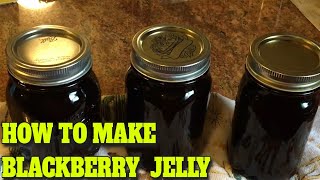 BLACKBERRY JELLY  STEP BY STEP  EASY…DELICIOUS RECIPE [upl. by Ael]