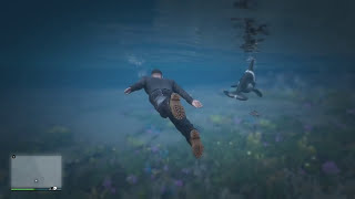 GTA5 ALL UNDERWATER ANIMALS LOCATIONS Humpback Whale Hammerhead Shark amp MORE [upl. by Turro]