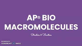 AP Bio Macromolecules [upl. by Nolla485]