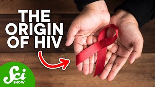 How HIV First Started in Humans [upl. by Othe]