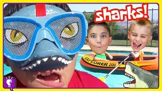 Shark Adventures COMPILATION and Play with The HobbyKids [upl. by Shaefer]