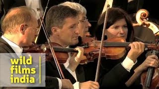 Trumpet Concerto Haydn 2nd movement by Andreas Ottl [upl. by Hgielah]