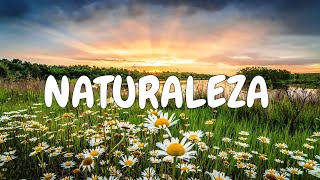 Naturaleza hermosa paisajes y flores  Landscapes [upl. by Nashbar]