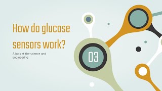 Glucose Sensors Explained [upl. by Lenahs670]