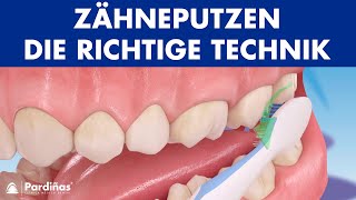 Zähneputzen  Die richtige Technik © [upl. by Sheffy]