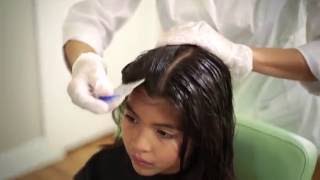 Head Lice Treatment The Safe and Natural Way [upl. by Cuda]