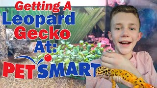 Getting a Leopard Gecko at PetSmart [upl. by Pacien182]