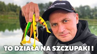 TE PRZYNĘTY MUSISZ MIEĆ  WĘDKARSTWO SPINNINGOWE [upl. by Chader]