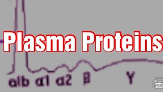 Plasma Proteins Biochemistry Albumin Globulins  Fibrinogen [upl. by Teak]