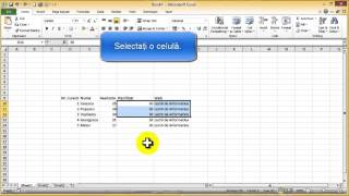 Tutorial Excel  Cum inserăm celule rânduri coloane [upl. by Elleron958]