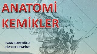 Anatomi KEMİKLER Konu Anlatımı5  ÖnlisansLisans [upl. by Woodward438]