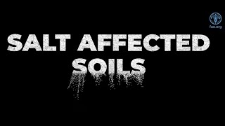 Saltaffected soils discovering a missed reality [upl. by Newhall]