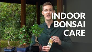 Indoor Bonsai care [upl. by Eentihw]