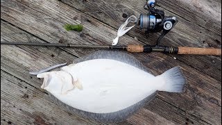 Flounder Fluke Fishing from Docks and Piers [upl. by Corkhill29]