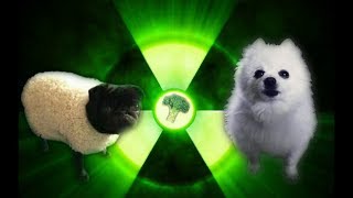 Imagine Doggos  Radioactive [upl. by Aluap]