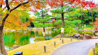 4K Japan Walk  Beautiful Japanese Garden in Nagoya Tokugawaen  Koi Fish  Nagoya Winter 2020 [upl. by Sumner]