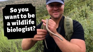 How To Become A Wildlife Biologist [upl. by Esmaria353]