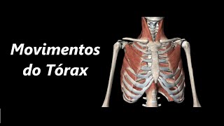 Movimentos do Tórax em 3D [upl. by Garate154]