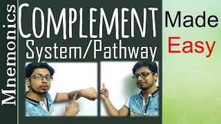 Complement pathway made easy [upl. by Davidde]