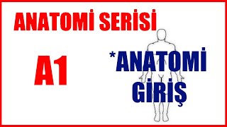 Anatomi Giriş 2020 A Serisi A1 Anatomi Çeşitleri [upl. by Eugine312]