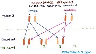 Understanding Autosomal Dominant and Autosomal Recessive Inheritance [upl. by Nivrem]