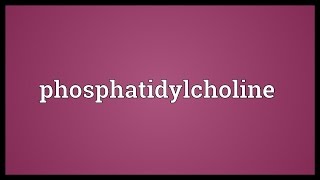 Phosphatidylcholine Meaning [upl. by Atined]