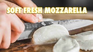 30 Minute Homemade Fresh Mozzarella Cheese [upl. by Simsar]