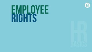 HR Basics Employee Rights [upl. by Abdella]