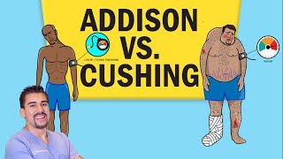 Addisons vs Cushings Disease for NCLEX RN [upl. by O'Driscoll]