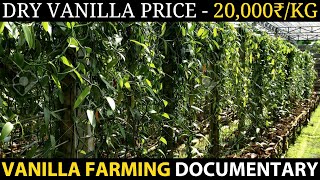 VANILLA FARMING  VANILLA CULTIVATION [upl. by Ahseer]