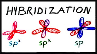 sp3 sp2 and sp Hybridization [upl. by Estren]