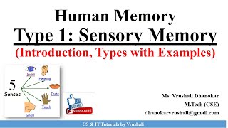 HCI 23 Type 1 Sensory Memory Iconic Echoic and Haptic Memory with Examples [upl. by Mairem]