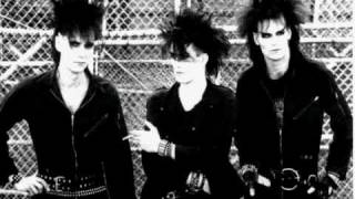 Skinny Puppy  Smothered Hope [upl. by Aynahs]